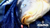 METHOD FEEDER - Wspaniałe otwarcie SEZONu oraz testy OSMO