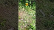 Discovering the aftermath of a Fox  Hunt