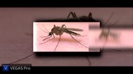 (YTPMV) Piosenka o komarze xD Scan