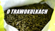 Czy trawokulki to wymysł?