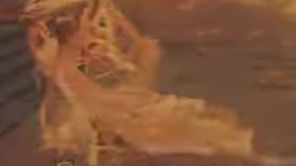 Elden Ring Shadow...  NG+ Boss : Midra Władca Oszalałego Płomienia.