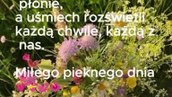 miłego dnia