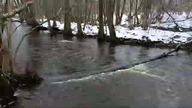 Nad Łebą