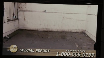 Bez reguły 2010 lektor pl