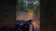 Przeprawa przez las quadem.  #quad #kymco #las #offroad