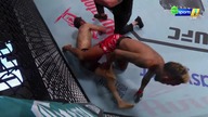 UFC Fight Night 249 - karta wstępna