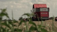 Wuj / Onkel (2019) Lektor PL