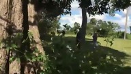 Wow Beautiful Girl Catch python How to Catch python Snake Cambodia YouTube