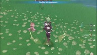 Genshin Impact - Candace 20415 DMG