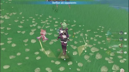 Genshin Impact - Candace 20415 DMG