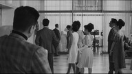 Zwiędły kwiat 1964 lektor pl