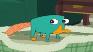 DISNEYXD US - 01-11-2025 - Continuity