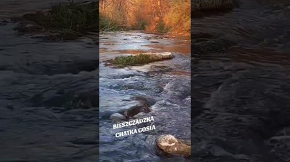Czarny potok w Czarna Górna - Bieszczady #biesy #bieszczady #wbieszczady #wgóry #góry #bieszczadzki