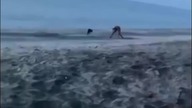 Mężczyzna próbuje uderzyć psa - natychmiastowa kara