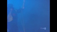 Dis Kabaret Pirania Olgi.  mix...  VID-1735761849518 (4)