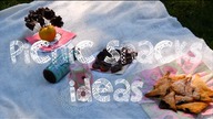 Picnic Snacks Ideas