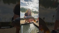 Kasia największym łowcą! #wędkarstwo #karp #karpie #ryby #rybyrybyryby #wakacje #weekend #fishing