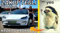 Jak KUPIĆ TESLE w Polsce? Na co uważać?PORADNIK