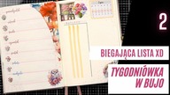 Goździkowe zwierzaki | Druga tygodniówka lipca w bullet journal | Weekly [autopromocja]