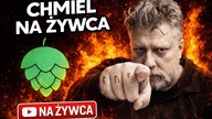 CHMIEL NA ŻYWCA.  Finał 2025 roku.