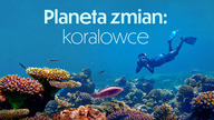 Planeta zmian: koralowce S01E01 Lektor PL