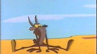 Gwiazdy Space Jam - Struś Pędziwiatr i Kojot (1996) Dubbing PL
