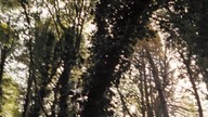 Primeval. S03E09.pl. 480p. DVDRip. AC3. 2. 0. XviD-Ralf. DeiX