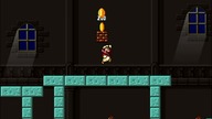 Mario Worker XXX World Vol. 35 Final Year 2022 Gamer Cave