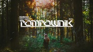 Domastic - Party Starter