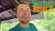 Nosacze - Co słychać u celebrytów polskiego internetu?
