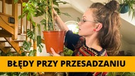 20 Najczęściej popełnianych błędów przy PRZESADZANIU domowych roślin doniczkowych  Vlog
