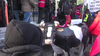 Rolnicy kontra rząd.  Warszawski protest przeciw Mercosur i Zielonemu Ładowi