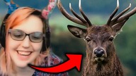 Jest jeleniem, gracze to biali supremacjoniści, a Twitch to popiera | FerociouslySteph