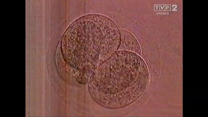 Od narodzin Mix VID-1701067311860