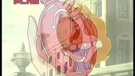S01E49-Mikstura-doktora-Fritza