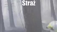 Tuczna: Strażacy walczą z pożarem lasu.  Są dowody na podpalenie