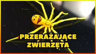 10 PRZERAŻAJĄCYCH ZWIERZĄT