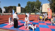 Aikido Atemi