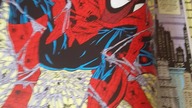 Spiderman - Todd McFarlane