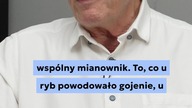 Polipeptydy w kolagenie  prof.  Andrzej Frydrychowski | Michał Toczyłowski | Narum | Narine