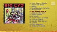 BIG CYC - Będę śpiewał tylko ja | 6 - Z gitarą wśród zwierząt (1996)
