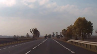 Poprawnie wykonany test łosia