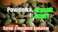 Powidełka z szyszek sosnowych i syrop sosnowy z męskich kwiatów.