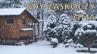 Jak urozmaicić czas kurom w okresie zimy