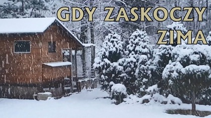 Jak urozmaicić czas kurom w okresie zimy