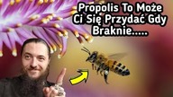 1520.  Starodawny Skuteczny Propolis Koniecznie Zobacz!!!!