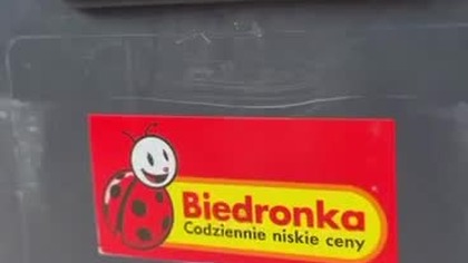 Psom wstep wzbroniony: