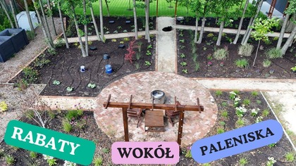 Rośliny na 4 rabatach wkopane. Zasilone kompostem. Rozłożone nawodnienie.