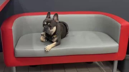 73463106-7ba0-4b7c-9efd-d211225b6552