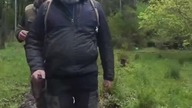 Single track dla pieszych w Arboretum #ogród #natura #przyroda #wycieczka